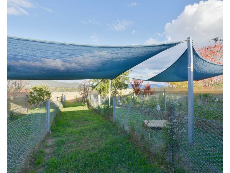 161 New England Gully Road, Moonbi NSW 2353