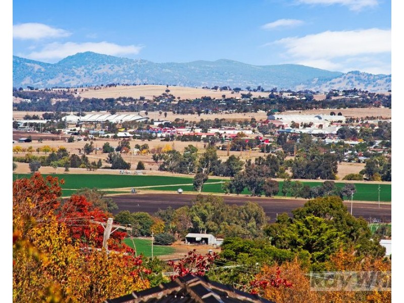 16 Shrewsbury Avenue, Tamworth NSW 2340