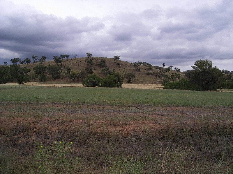 123 Martins Lane, Tamworth NSW 2340