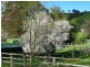 Lot Ogunbil Road, Dungowan NSW 2340
