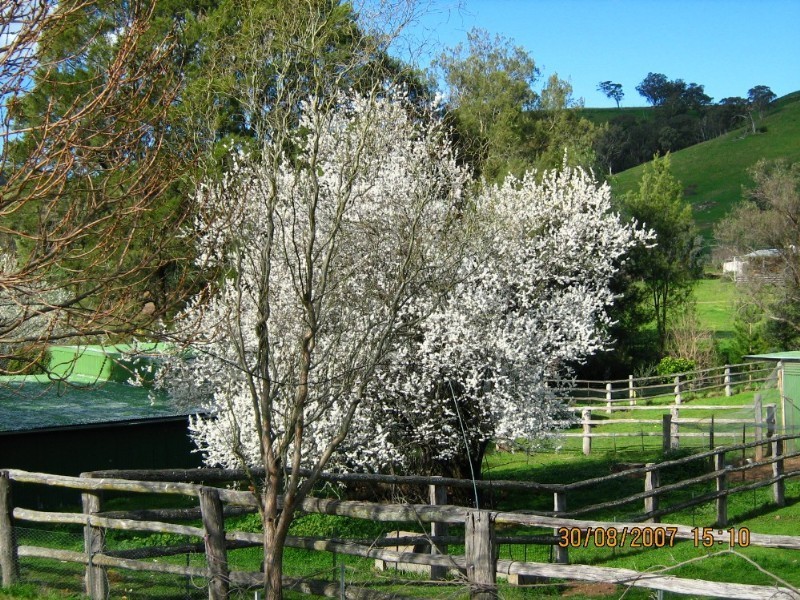 Lot Ogunbil Road, Dungowan NSW 2340