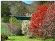 Lot Ogunbil Road, Dungowan NSW 2340
