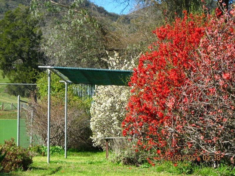 Lot Ogunbil Road, Dungowan NSW 2340