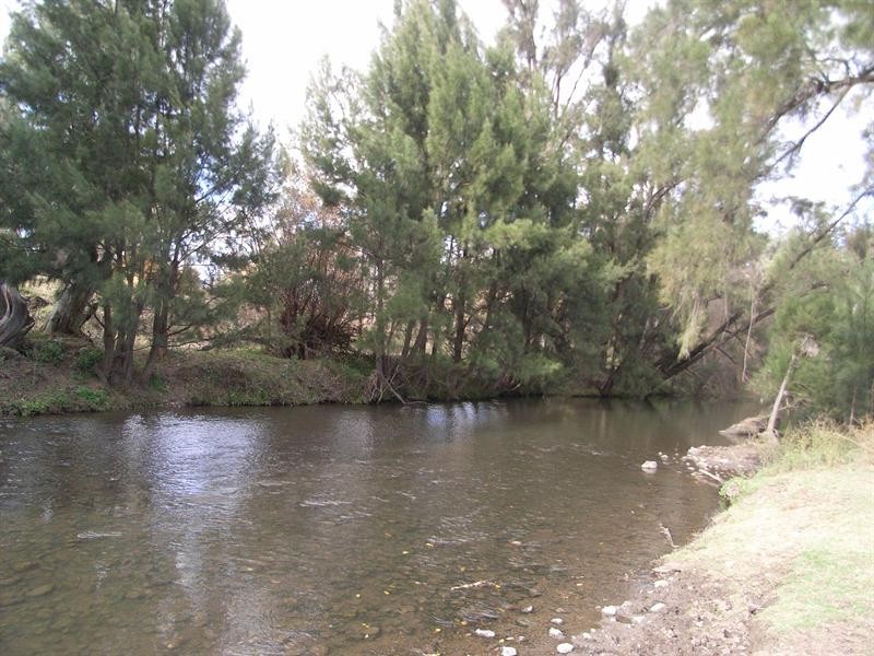 1645 Nundle Road, Dungowan NSW 2340