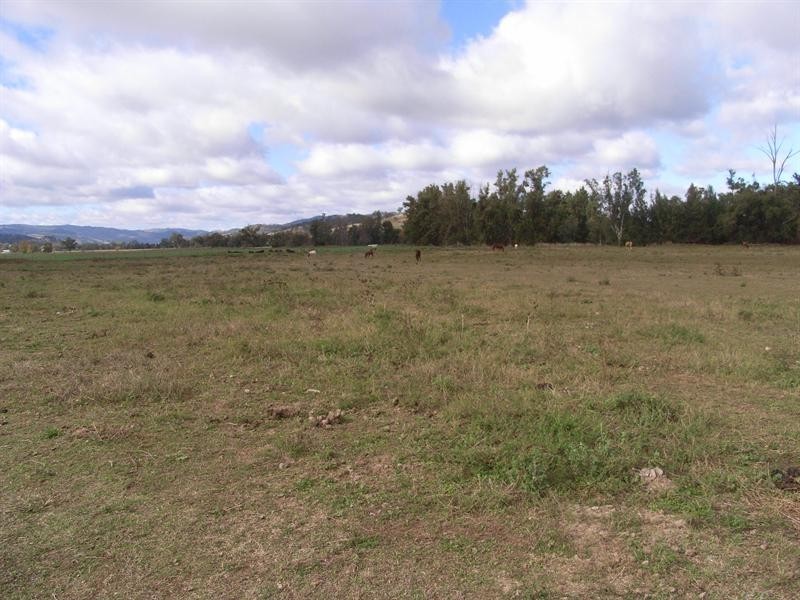 1645 Nundle Road, Dungowan NSW 2340