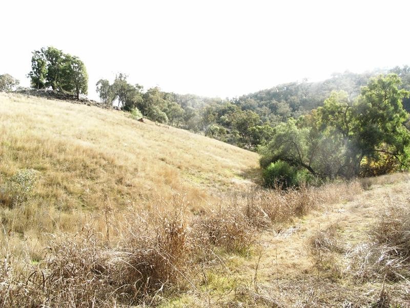 1645 Nundle Road, Dungowan NSW 2340