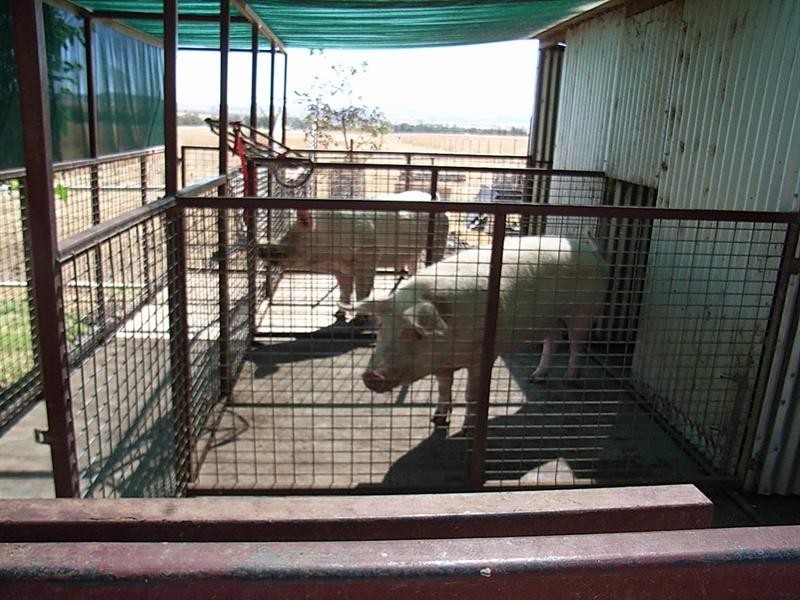 1 1 Bective Reserve Road, Tamworth NSW 2340