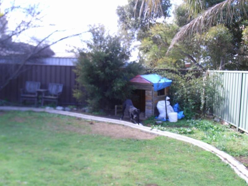 58 Mitchell Street, Westdale NSW 2340