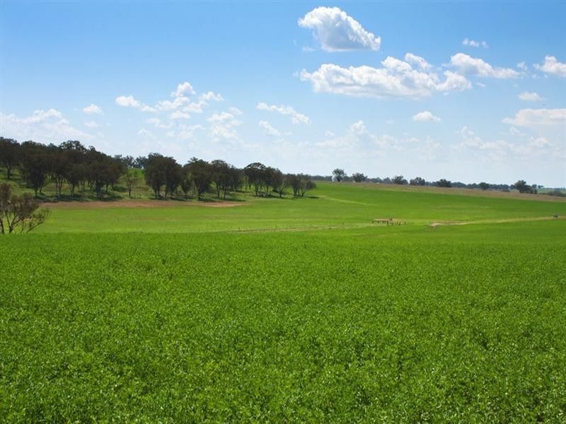 13279 of “Killain”  Sydney Highway, Tamworth NSW 2340