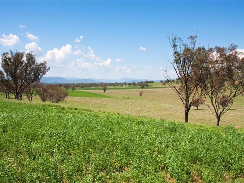 13279 of “Killain”  Sydney Highway, Tamworth NSW 2340
