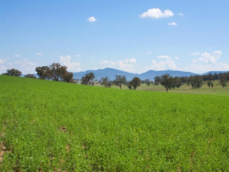 13279 of “Killain”  Sydney Highway, Tamworth NSW 2340