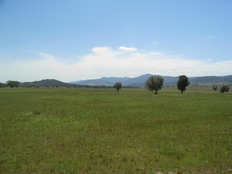 58 & 59 Cnr Browns Lane & Moore Creek Road, Tamworth NSW 2340