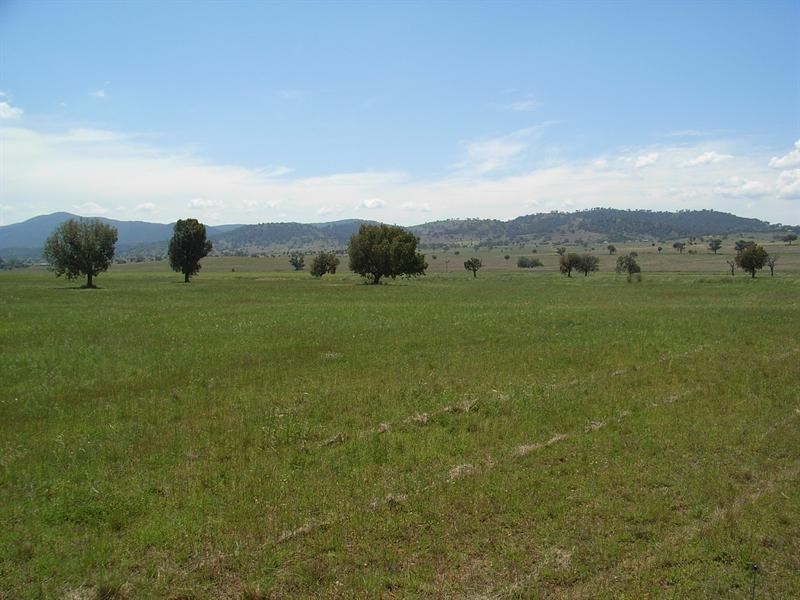 58 & 59 Cnr Browns Lane & Moore Creek Road, Tamworth NSW 2340