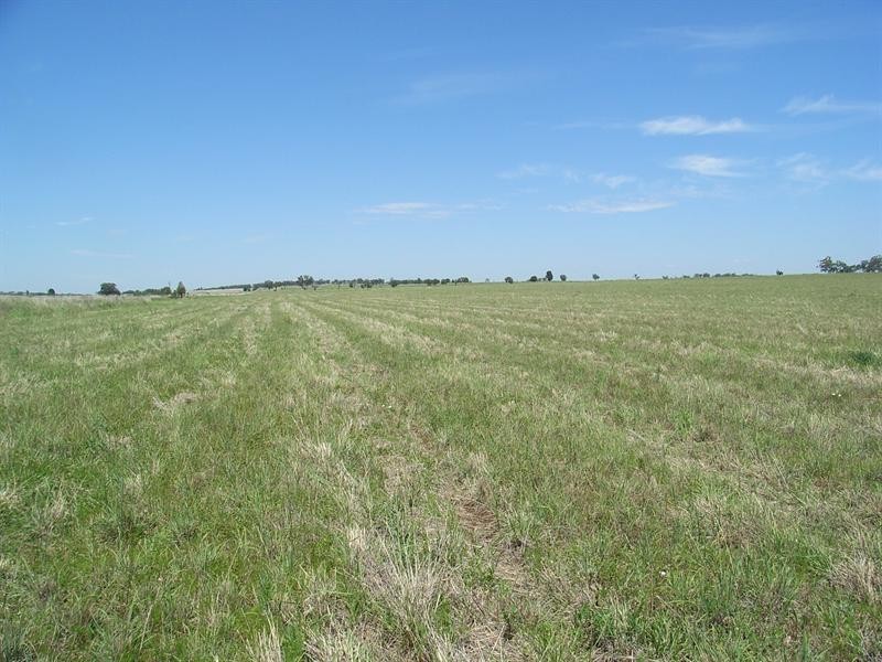 58 & 59 Cnr Browns Lane & Moore Creek Road, Tamworth NSW 2340