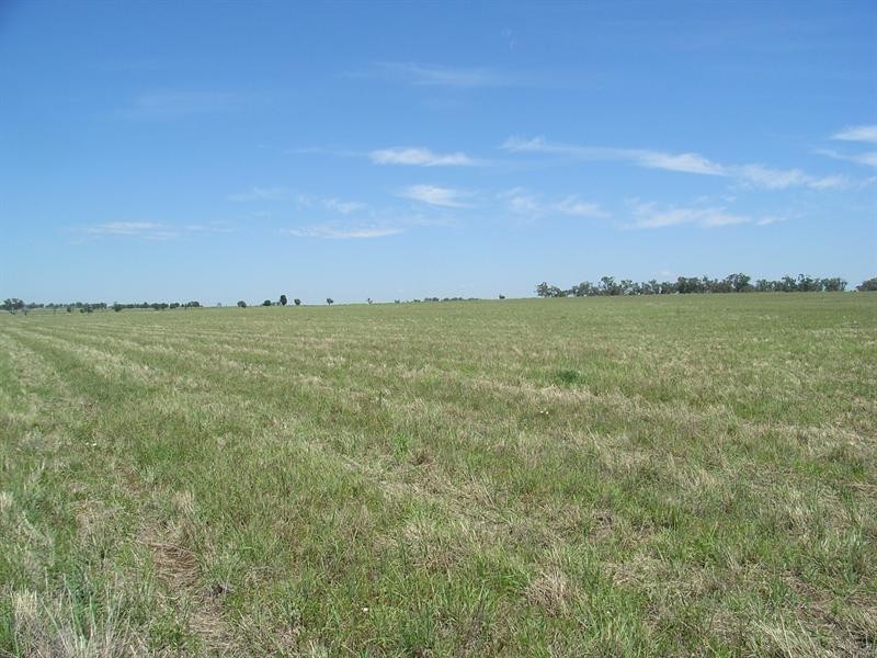 58 & 59 Cnr Browns Lane & Moore Creek Road, Tamworth NSW 2340