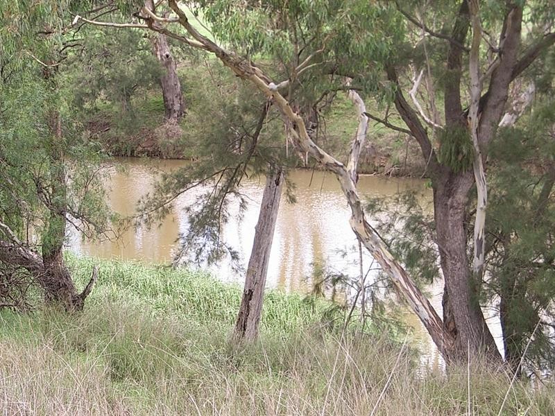 471 Barraba Road, Manilla NSW 2346