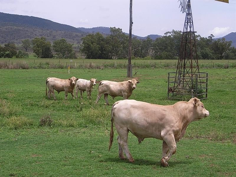 471 Barraba Road, Manilla NSW 2346