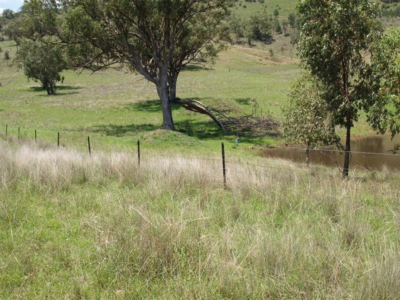 328 328 Mt Cobla Road, Currabubla, Tamworth NSW 2340