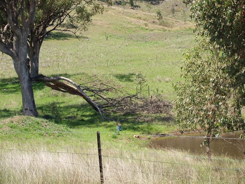 328 328 Mt Cobla Road, Currabubla, Tamworth NSW 2340