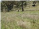 328 328 Mt Cobla Road, Currabubla, Tamworth NSW 2340