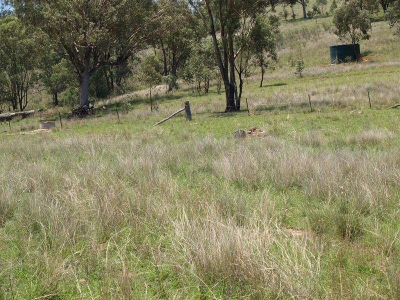 328 328 Mt Cobla Road, Currabubla, Tamworth NSW 2340