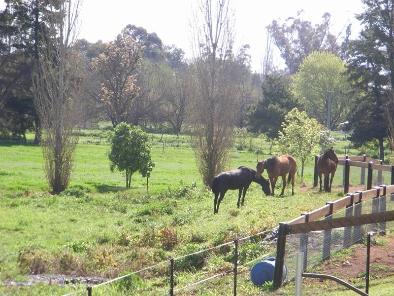 5 5, Porter Street, Tamworth NSW 2340