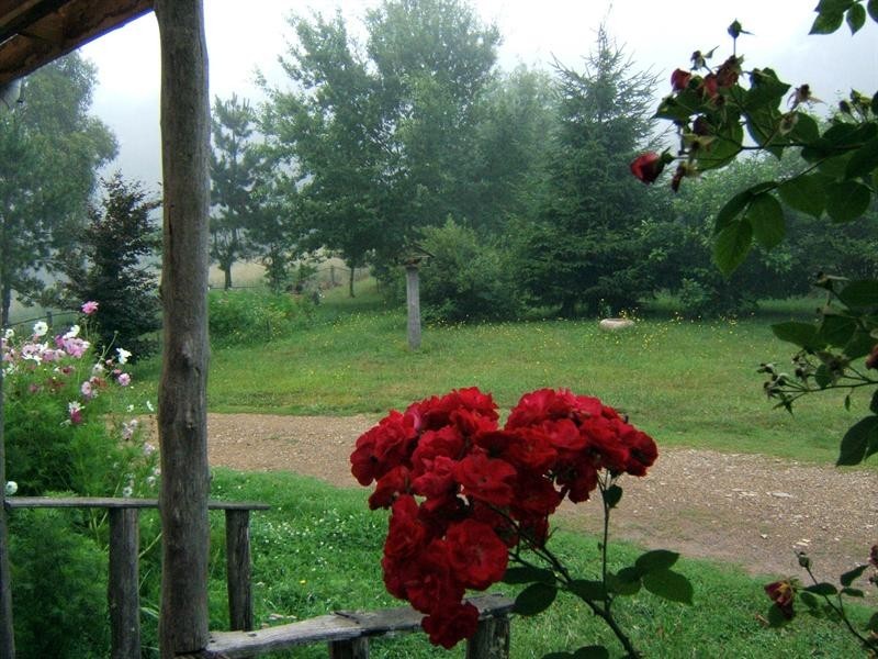 1191 Barry Road, Hanging Rock NSW 2340