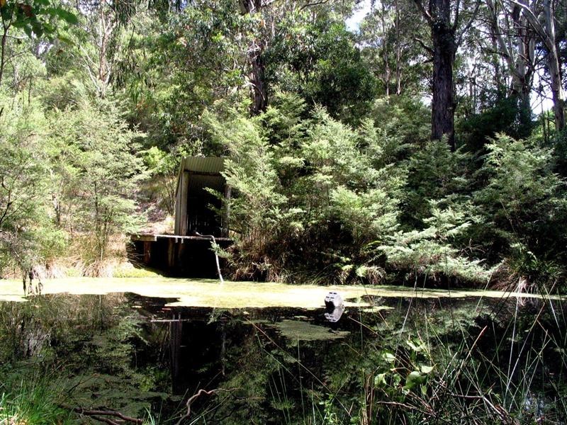 1191 Barry Road, Hanging Rock NSW 2340