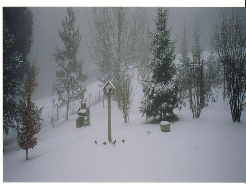 1191 Barry Road, Hanging Rock NSW 2340