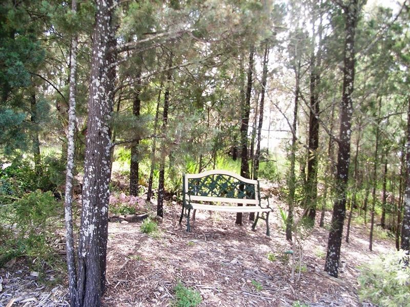 25 Ray Carter Drive, Quirindi NSW 2343