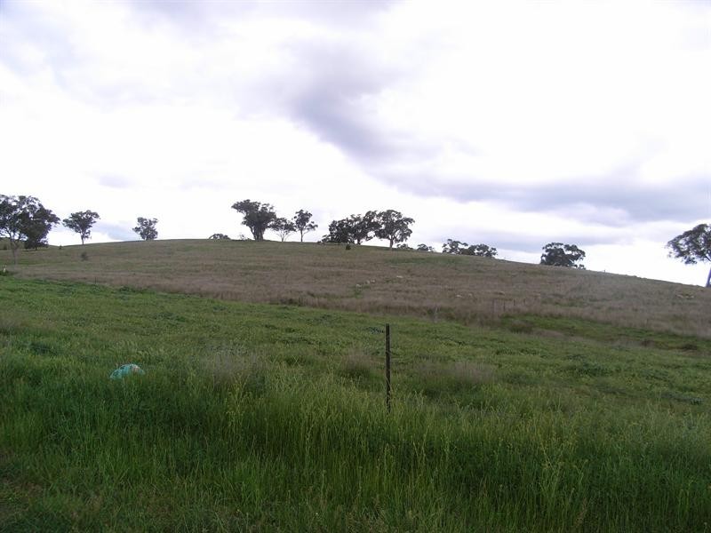 8 Kamilaroi Highway, Quirindi NSW 2343