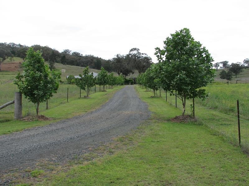 8 Kamilaroi Highway, Quirindi NSW 2343