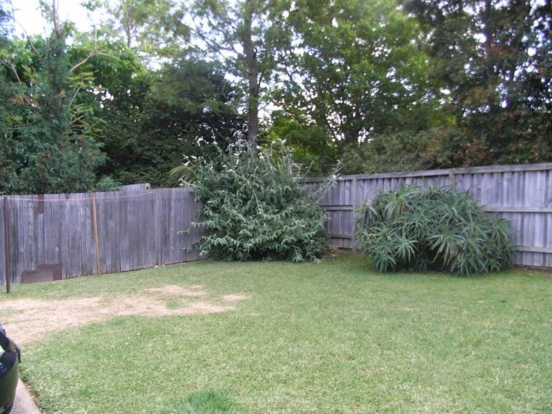 426 Liverpool Road, Croydon NSW 2132