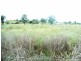 1 Arthur Street, Barraba NSW 2347