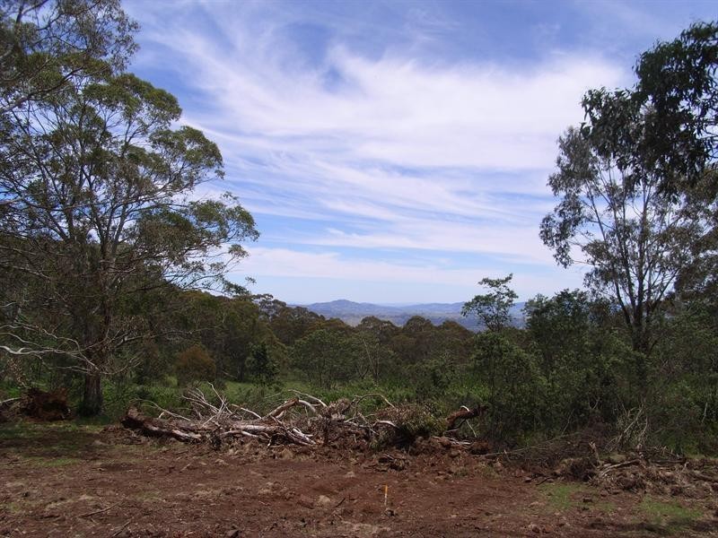 11 11 Morrisons Gap Road, Hanging Rock NSW 2340
