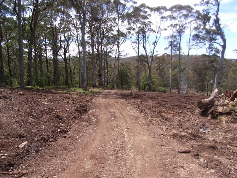 11 11 Morrisons Gap Road, Hanging Rock NSW 2340