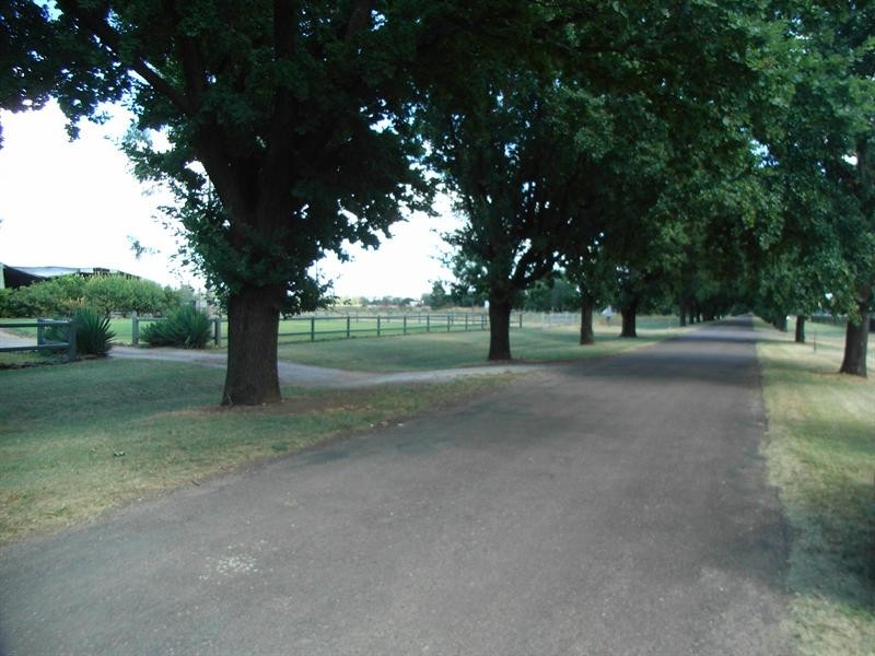 119 King George Avenue, Tamworth NSW 2340