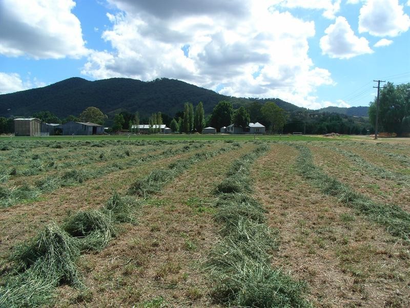 119 King George Avenue, Tamworth NSW 2340