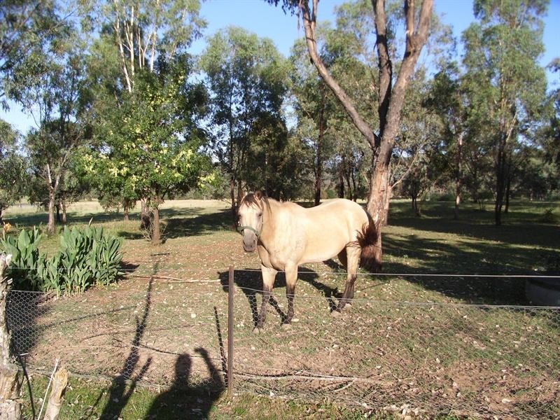 39 Bagenmar Road, Daruka NSW 2340