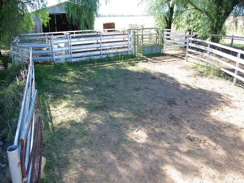 247 Gidley Appleby Road, Tamworth NSW 2340