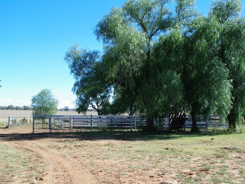 247 Gidley Appleby Road, Tamworth NSW 2340