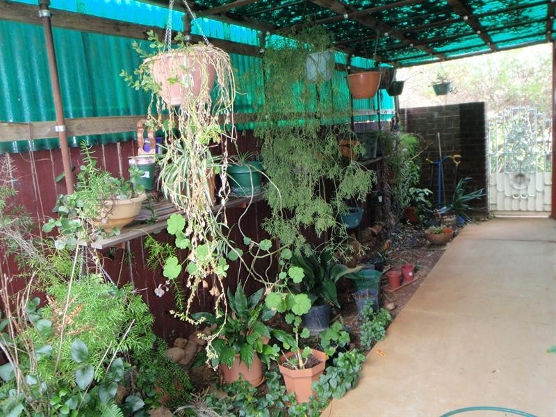 6 Kamilaroi Crescent, Manilla NSW 2346