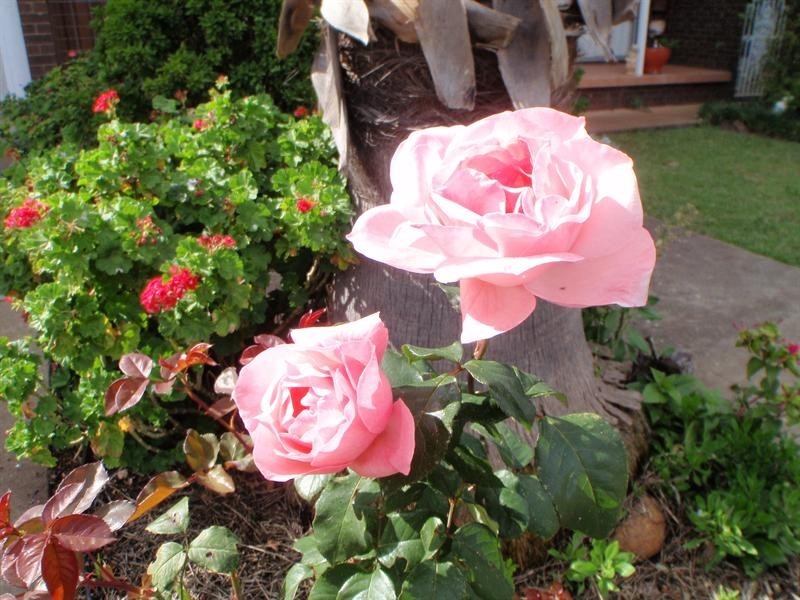 6 Kamilaroi Crescent, Manilla NSW 2346