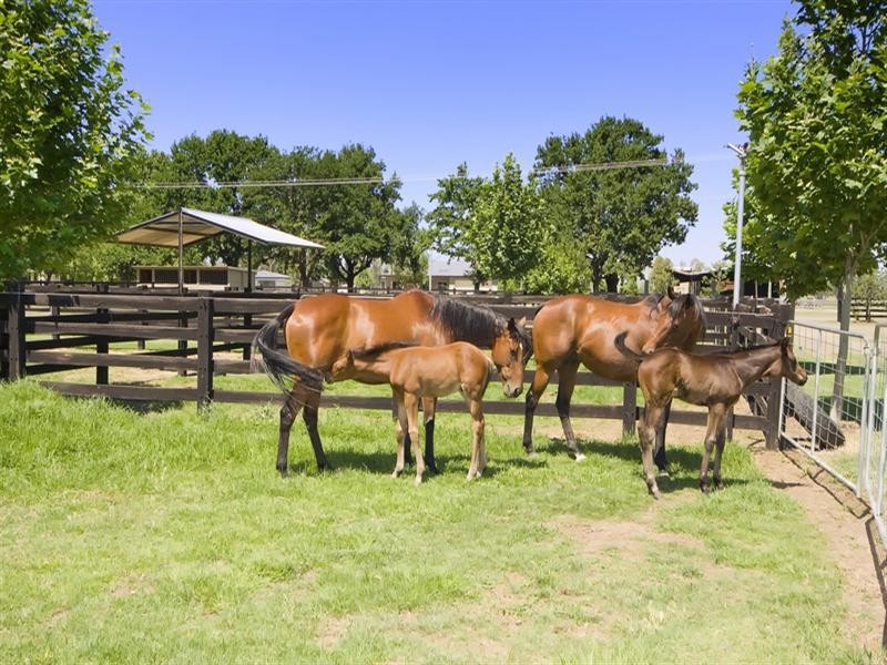122 142 King George Avenue, Tamworth NSW 2340