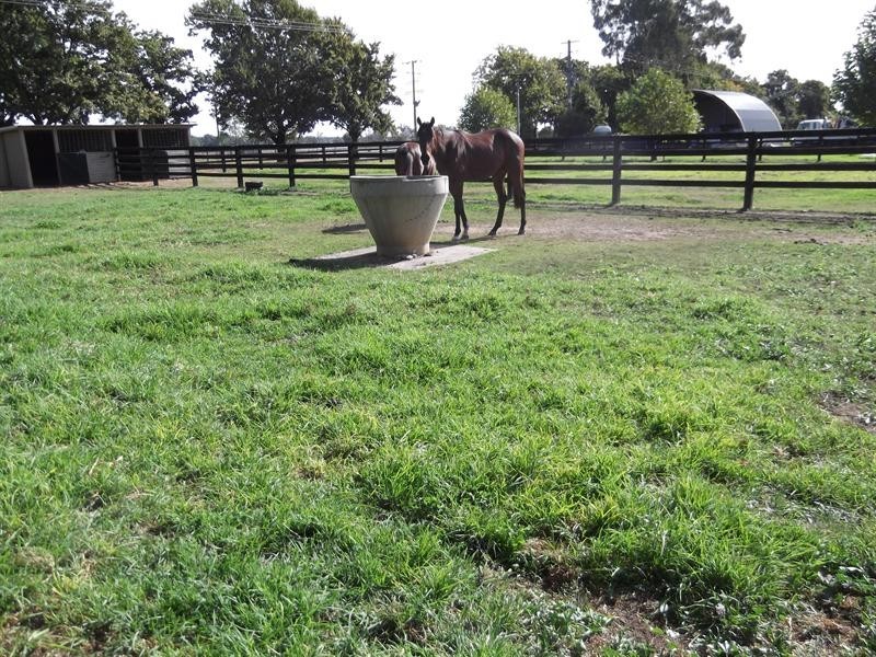 122 142 King George Avenue, Tamworth NSW 2340