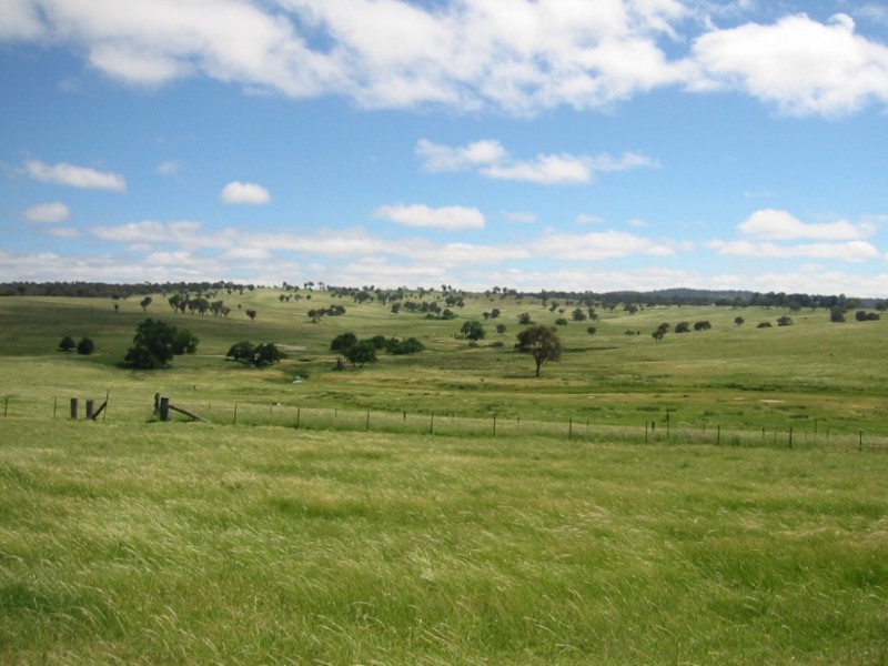 . “Rimbanda”, Kentucky NSW 2354