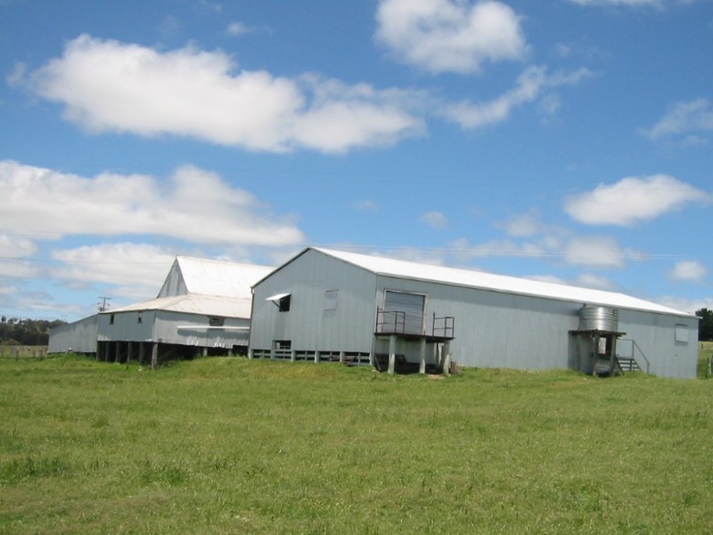 . “Rimbanda”, Kentucky NSW 2354