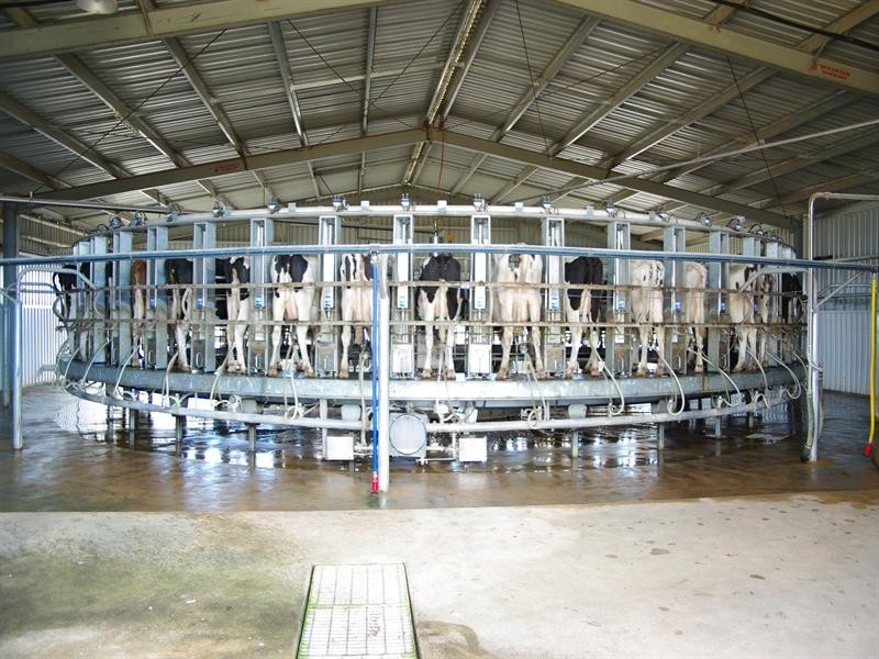 1 Holdings” Buena Vista Road, Upper Manilla NSW 2346