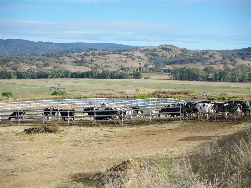 1 Holdings” Buena Vista Road, Upper Manilla NSW 2346