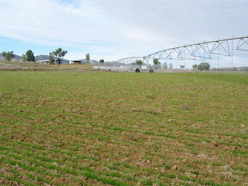 1 Holdings” Buena Vista Road, Upper Manilla NSW 2346